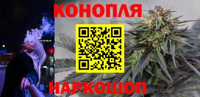 мдпв Пугачёв