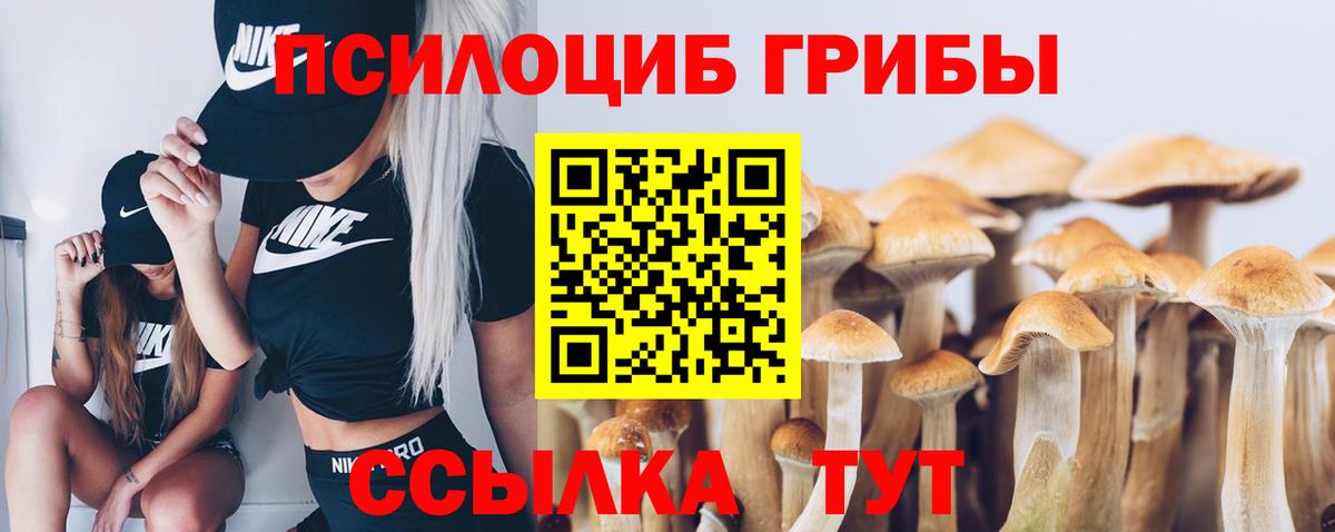 Псилоцибиновые грибы MAGIC MUSHROOMS  Вход с VPN  как найти закладки  Сосновоборск 