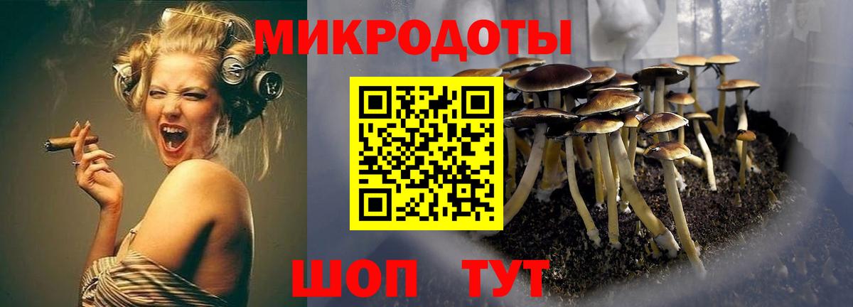 Галлюциногенные грибы MAGIC MUSHROOMS Сосновоборск